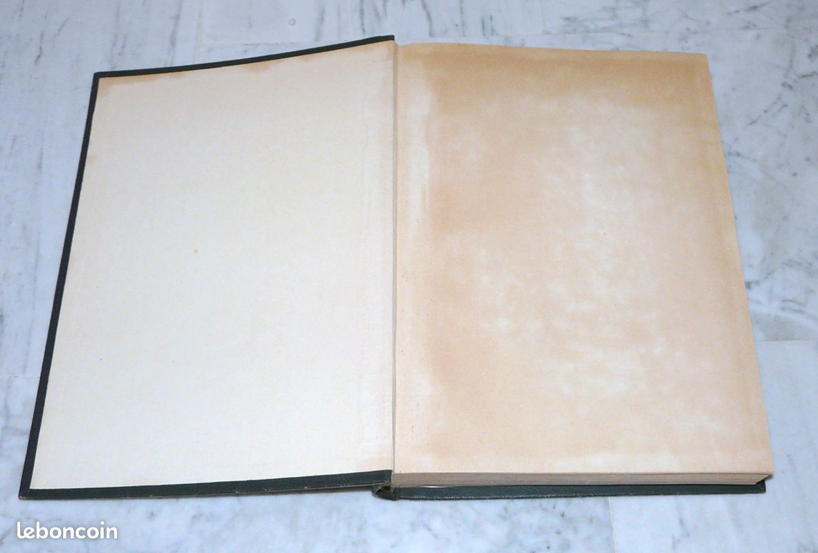 Livre – L’Armée française dans la guerre - Du Tchad au Danube - Tome 1 - 1946 (image 9)