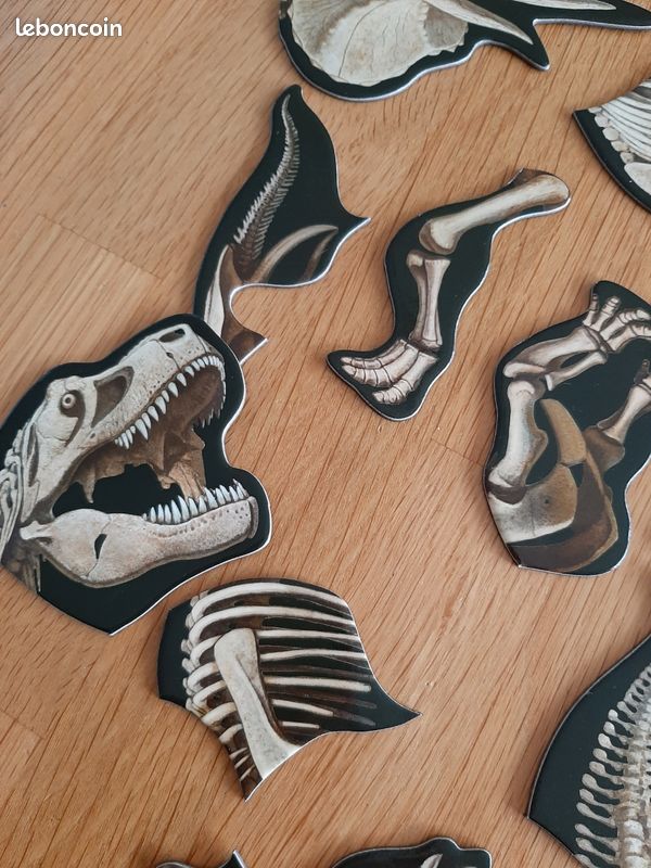 Dinosaures magnétiques plateau +livre (image 14)