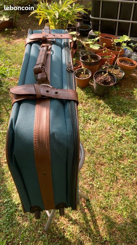 Valise (image 5)