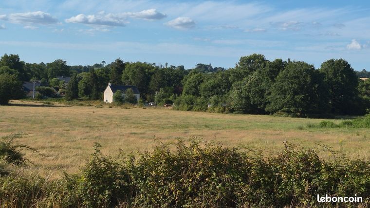 Terrain constructible