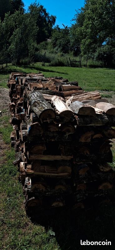 Bois (image 1)
