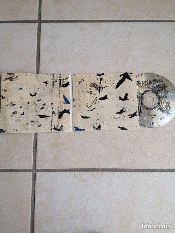 Albums Sigur Ros + Jonsi (image 3)