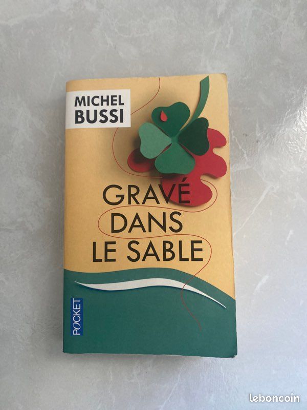 Lot 2 livres Michel BUSSI (image 3)