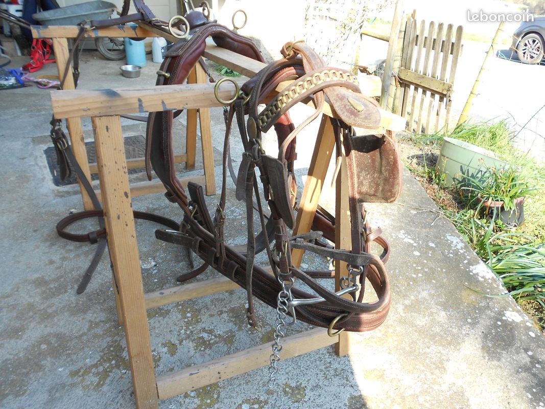 Quincaillerie En Laiton Pour Harnais De Poney - Occasion - Pièces Détachées - 918241