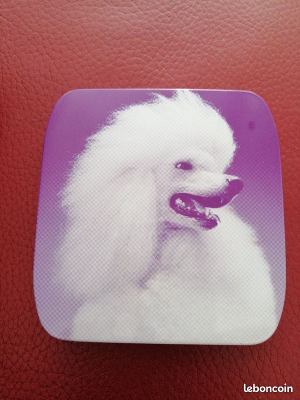 Jolie petite boîte pour ranger discrètement ses protections hygiéniques dans son sac à main (image 1)