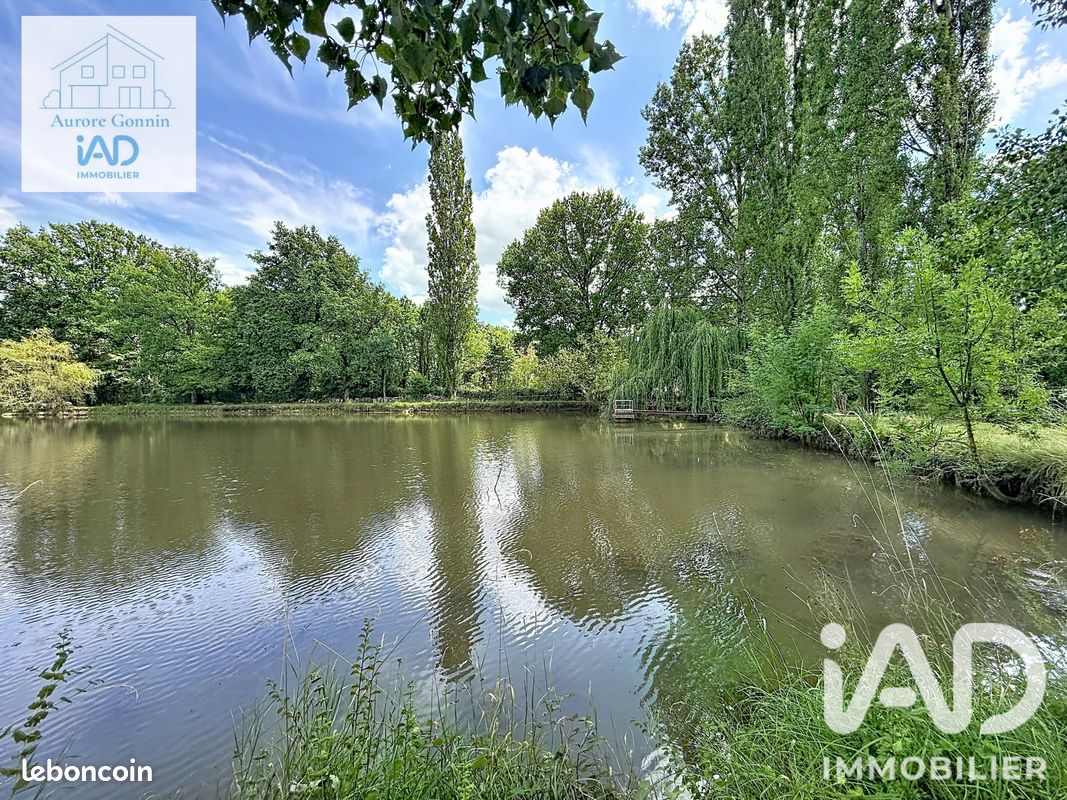 Terrain 21837 m² Chantenay-saint-imbert (image 4)