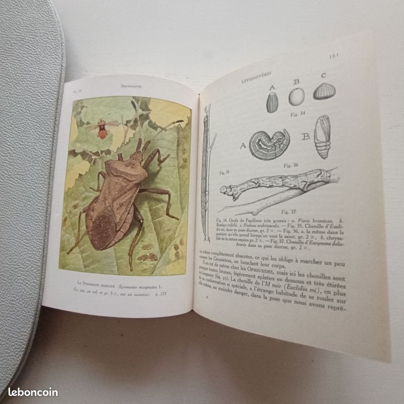 L'insecte - Tome 2, La société de Jules Michelet - Livre