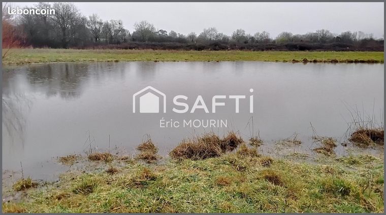 Terrain 21460 m² LE LION-D'ANGERS