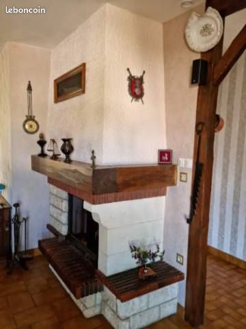 Cheminée insert (image 1)