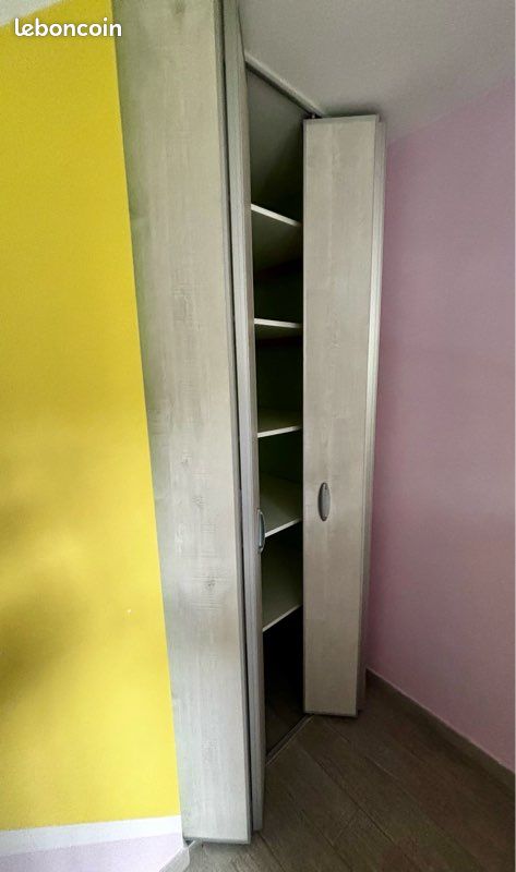 Doubles portes coulissantes 2m30 x 48 cm (x2) parfait état (image 2)
