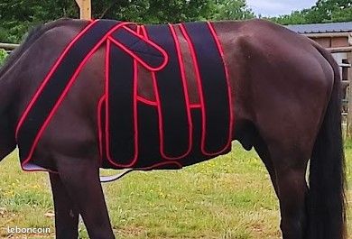 Un dessin d'un cheval avec un cavalier sur le dos. | Vecteur Premium