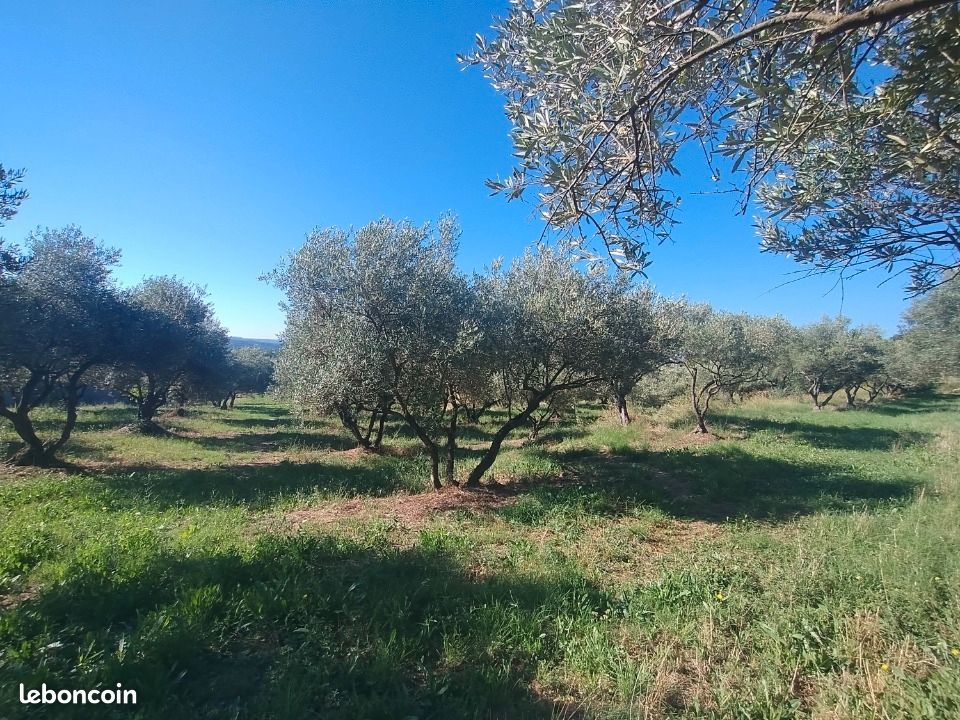 Terrain 2504 m² · à Vagnas · 110 000 €