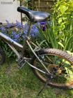 Vélo enfant (image 2)