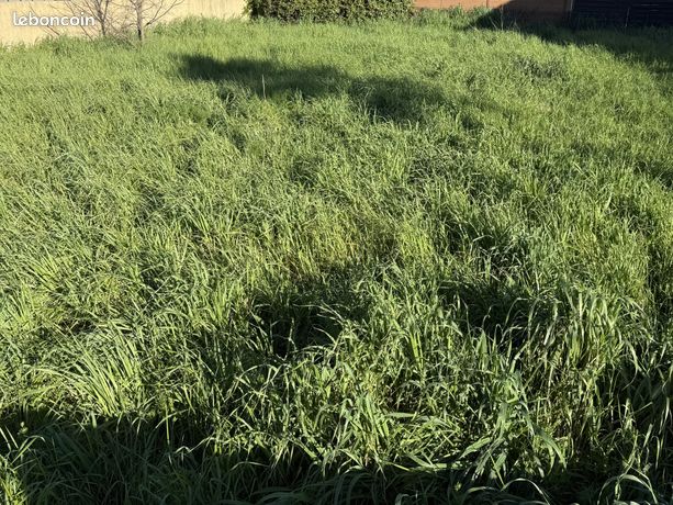 Terrain 442 m² Baillargues