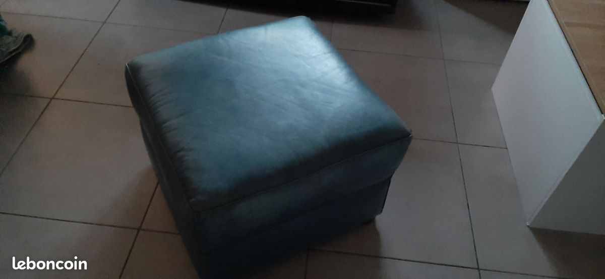 Pouf en cuir (image 1)