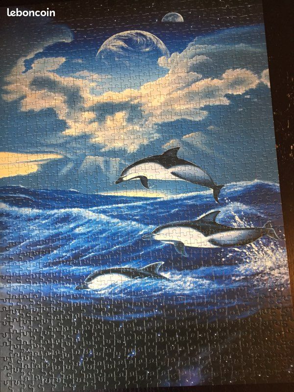 Puzzle 1000 pièces (image 1)