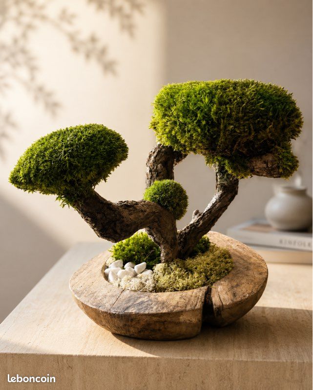 Bonzai stabilisé sans entretien (image 1)