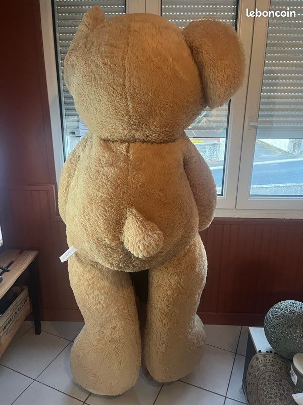 Ours en peluche (image 2)