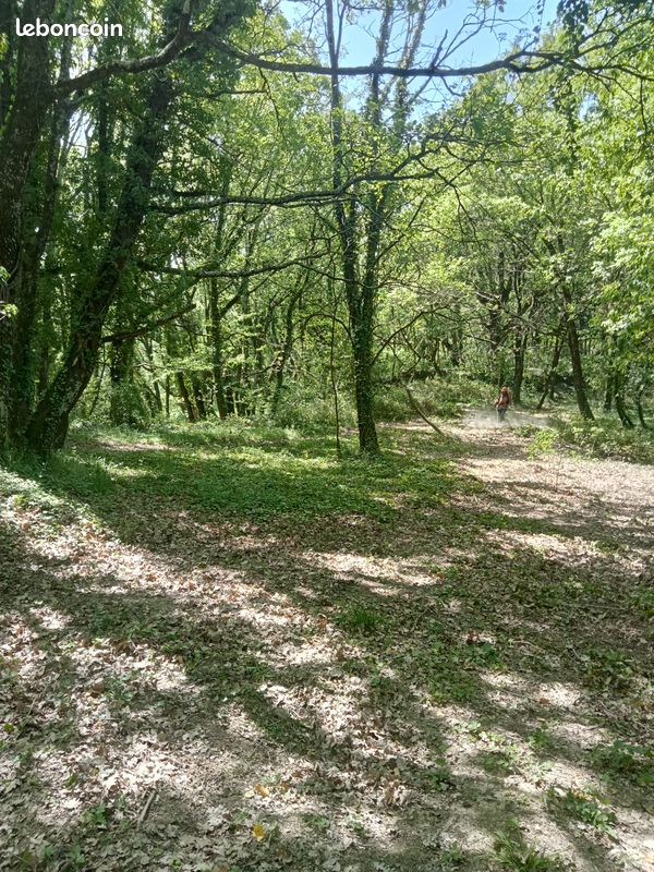 Terrain en forêt · à Vesseaux · 12 000 €