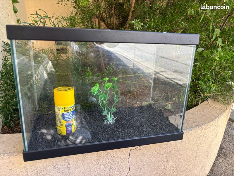 Aquarium (image 1)
