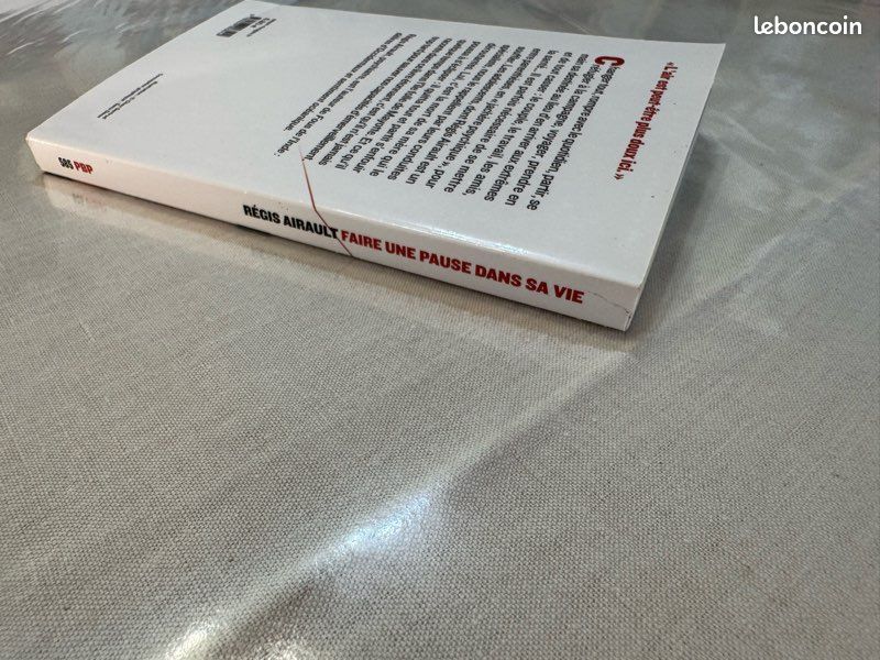 Livre inspirant élégant Faire une pause dans sa vie Régis Airault (image 10)