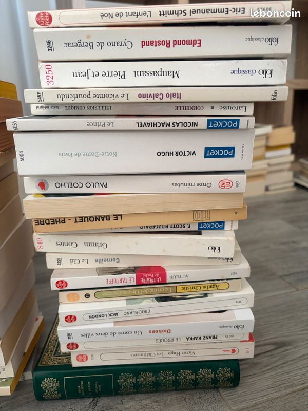 Livres en vrac (image 7)