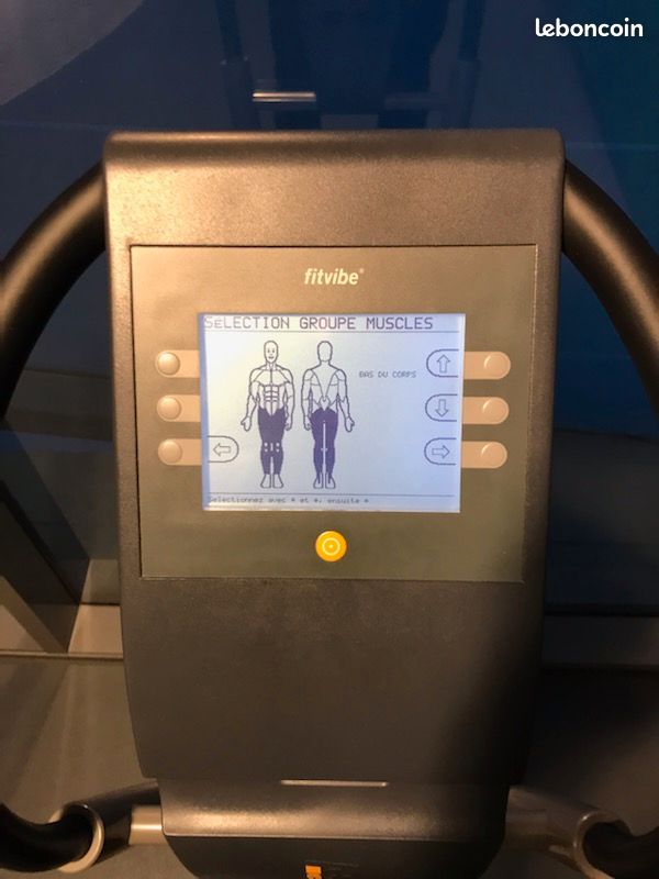 Machine vibrante FITNATION Rock N' Fit by Echelon Ex