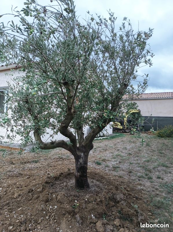 Maison 4 pièces 90 m² · à Limoux · 90 m² · 230 000 €
