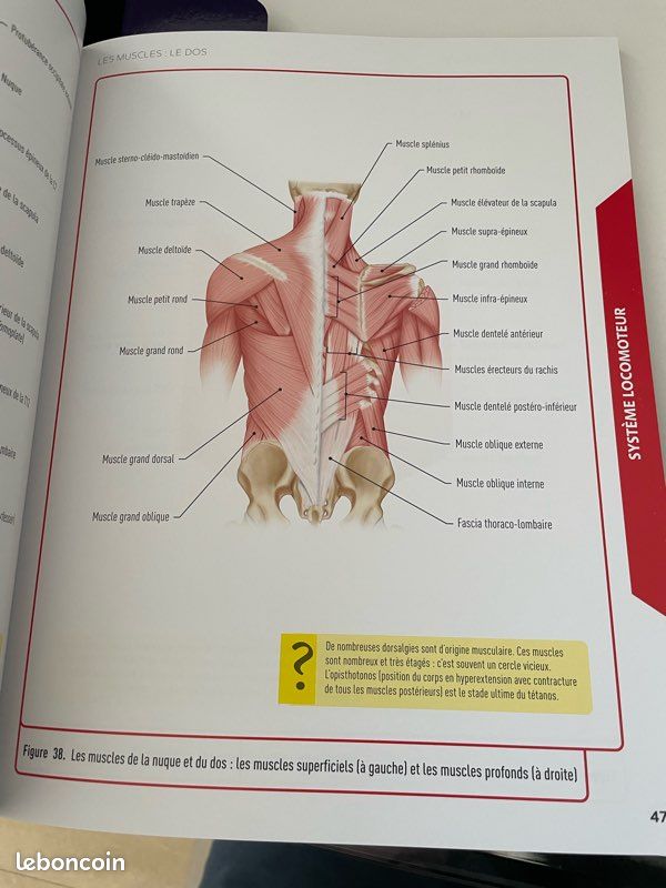 Carnet D’Atlas D’Anatomie Et Physiologie - Plus De 100 Illustrations Couleurs, Cahier D’Entraînement Effaçable