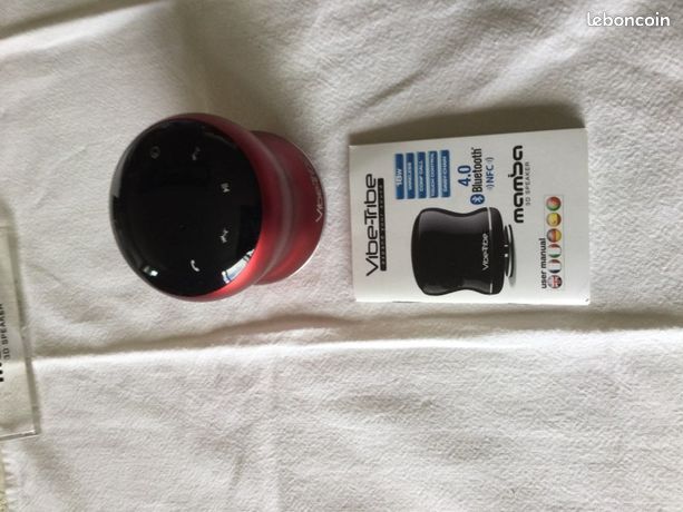 Enceinte Bluetooth Vibe Tribe - 15W - Jack 3.5mm, USB - Occasion