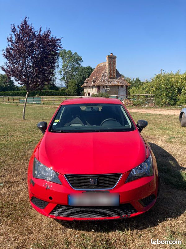 Seat ibiza (image 1)