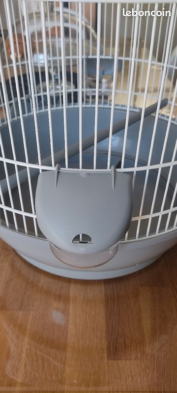 Cage oiseaux (image 2)