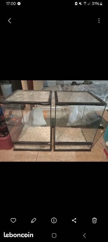 Box reptiles (image 2)
