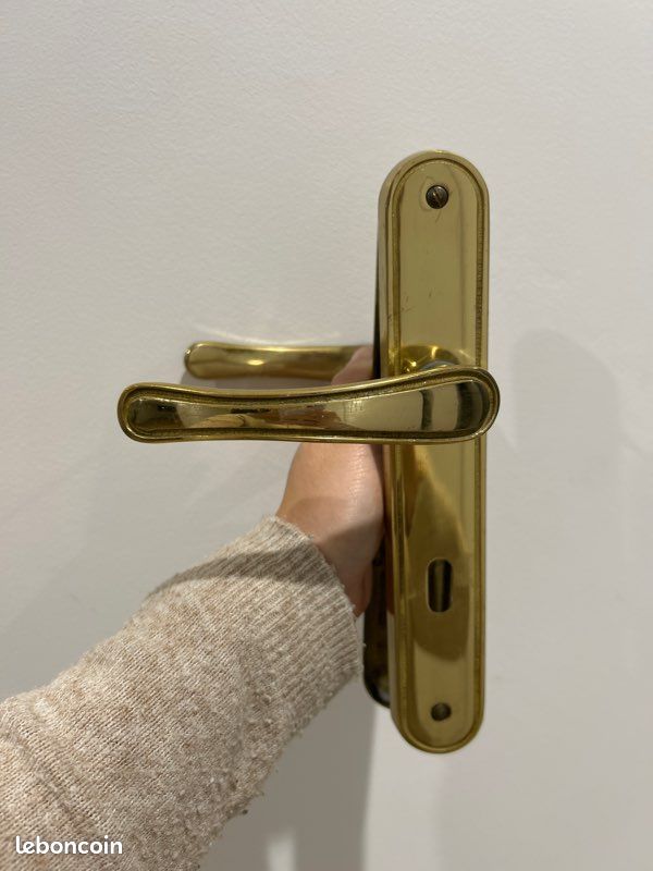 Poignée de porte dorée (image 1)