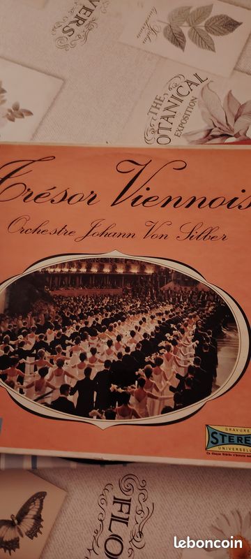 Disques vinyls 33 tours (image 3)
