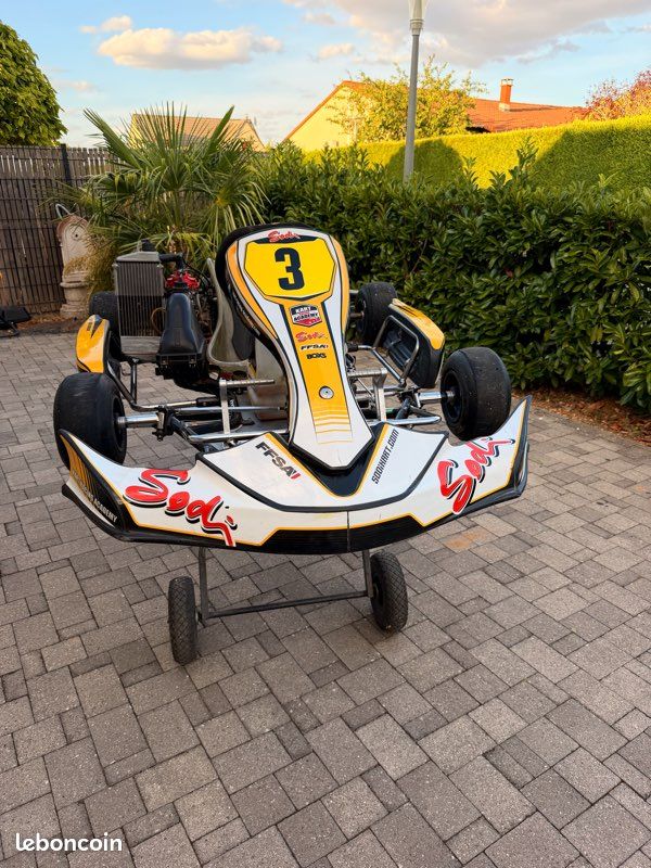 Sodikart Rotax (avec chariot, pièces…) (image 1)