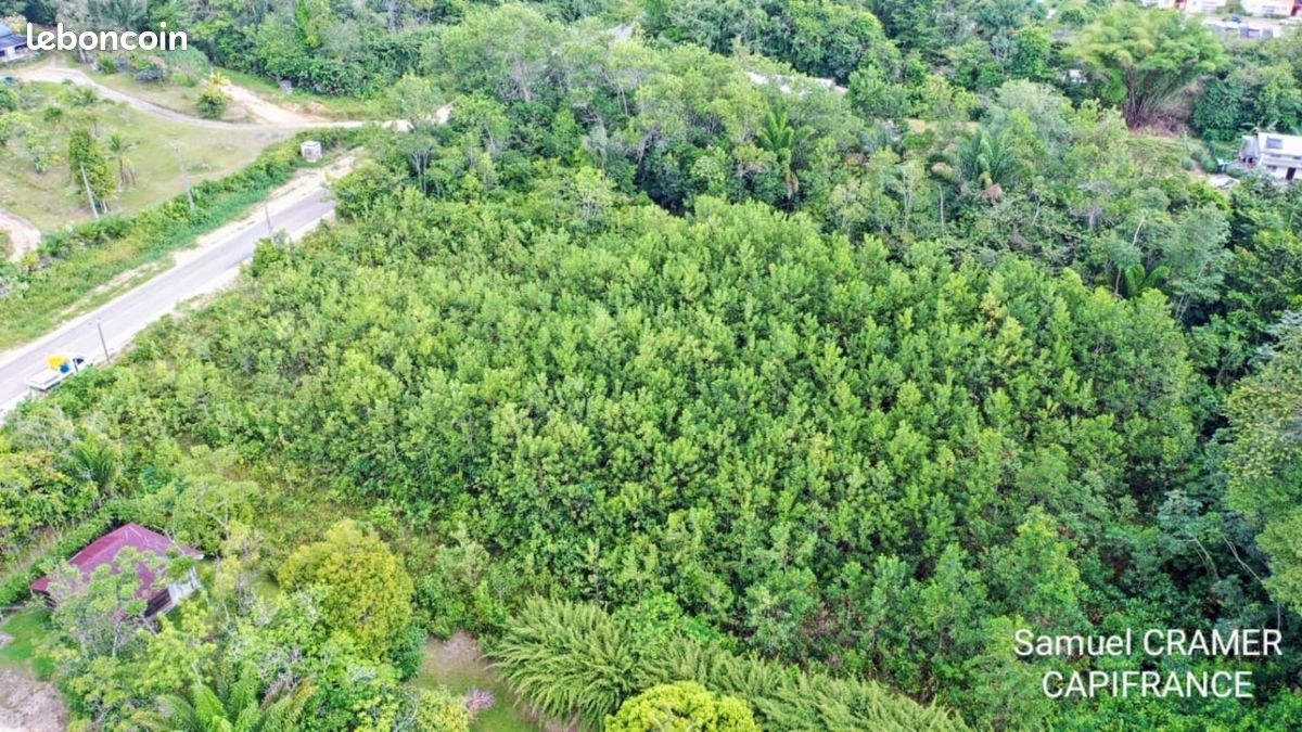 Terrain 15 000 m² Saint Laurent Du Maroni (image 3)