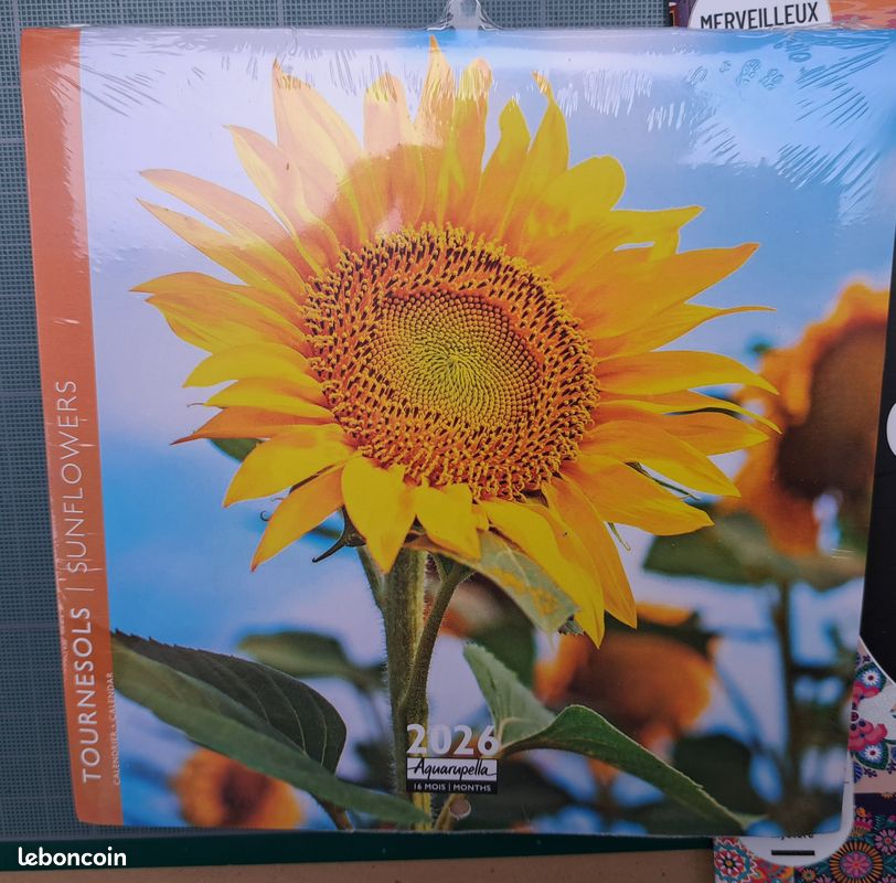 Lot de 5 petits calendriers - Aquarupella - troll69 (image 1)