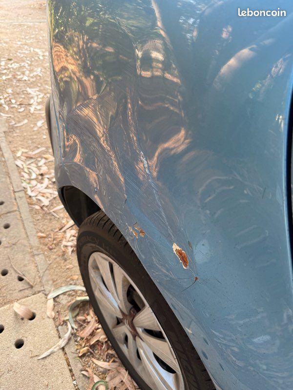 C4 Picasso (image 1)