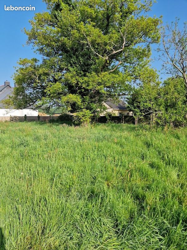 Maison 3 pièces 58 m² · à Missillac · 58 m² · 157 500 €