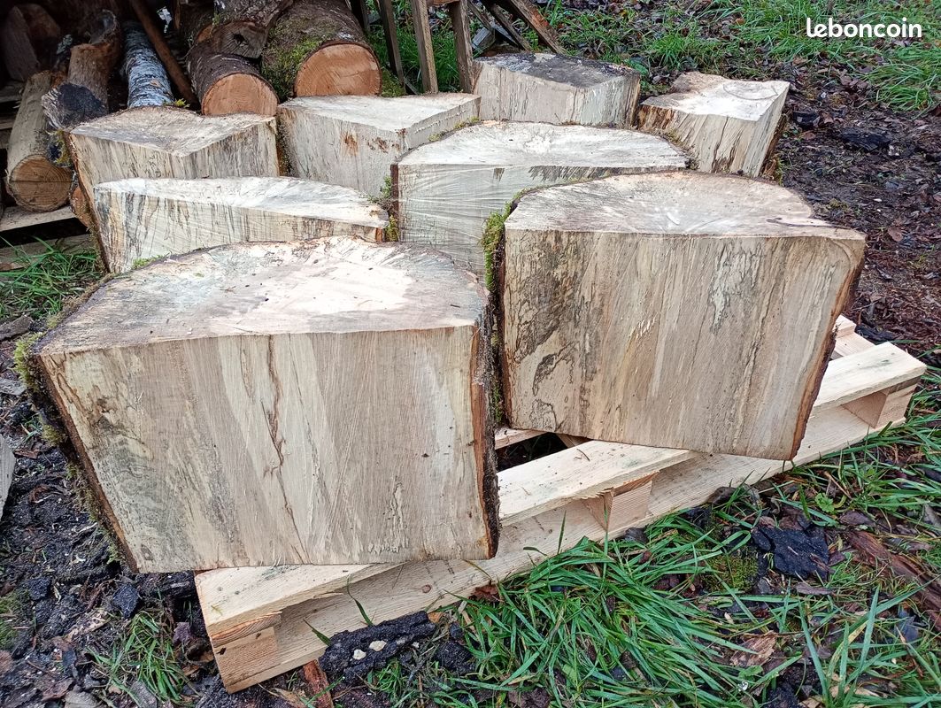 Bois pour sculpture ou tournage - Aulne, Noyer noir, bois échauffés et autres (image 5)