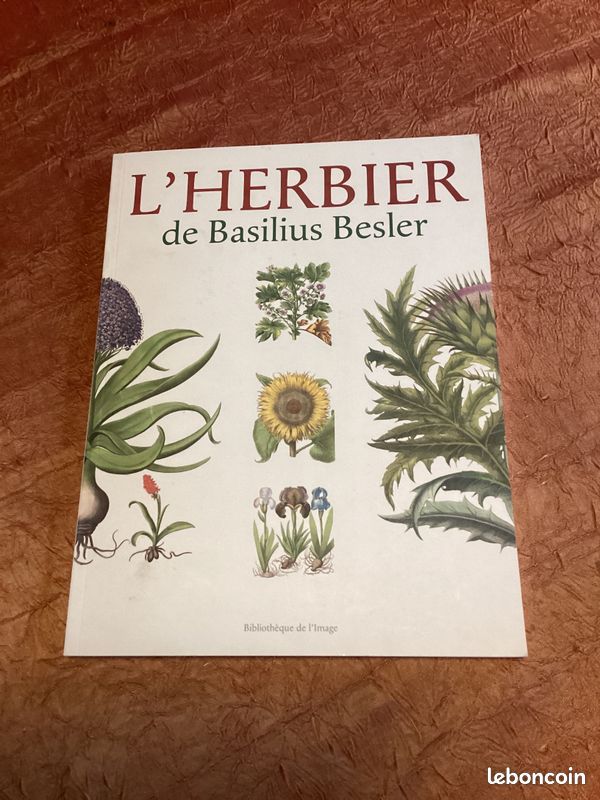Livre l’herbier de Basilius Besler (image 1)