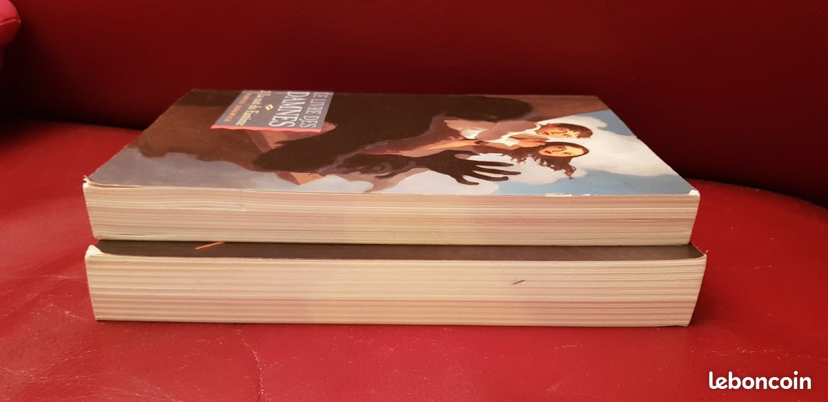 Série jeunesse, livres pour adolescents: le livre des damnés tomes 1 et 2 (image 5)