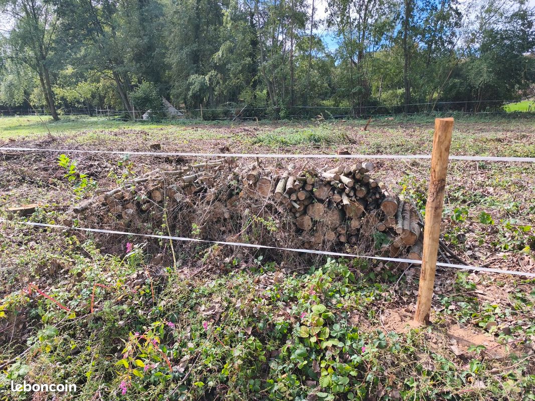 Stère de bois (image 2)