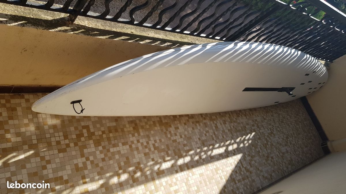 Planche à voile équipée (image 1)