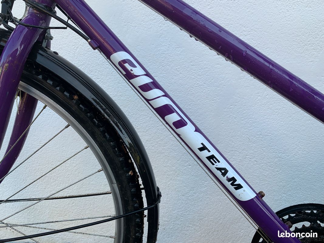 Vélo dame (image 2)