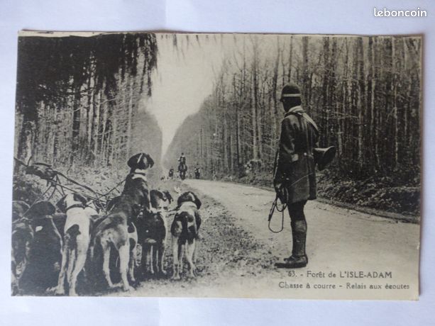 La vénerie en forêt de Fontainebleau