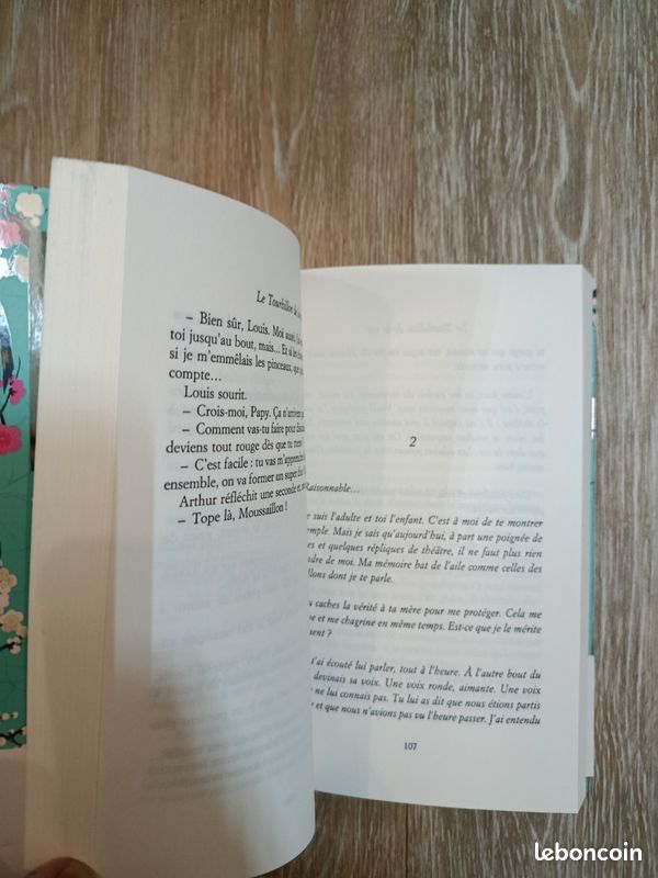 Livre "Le tourbillon de la vie" d'Aurélie Valognes (image 5)