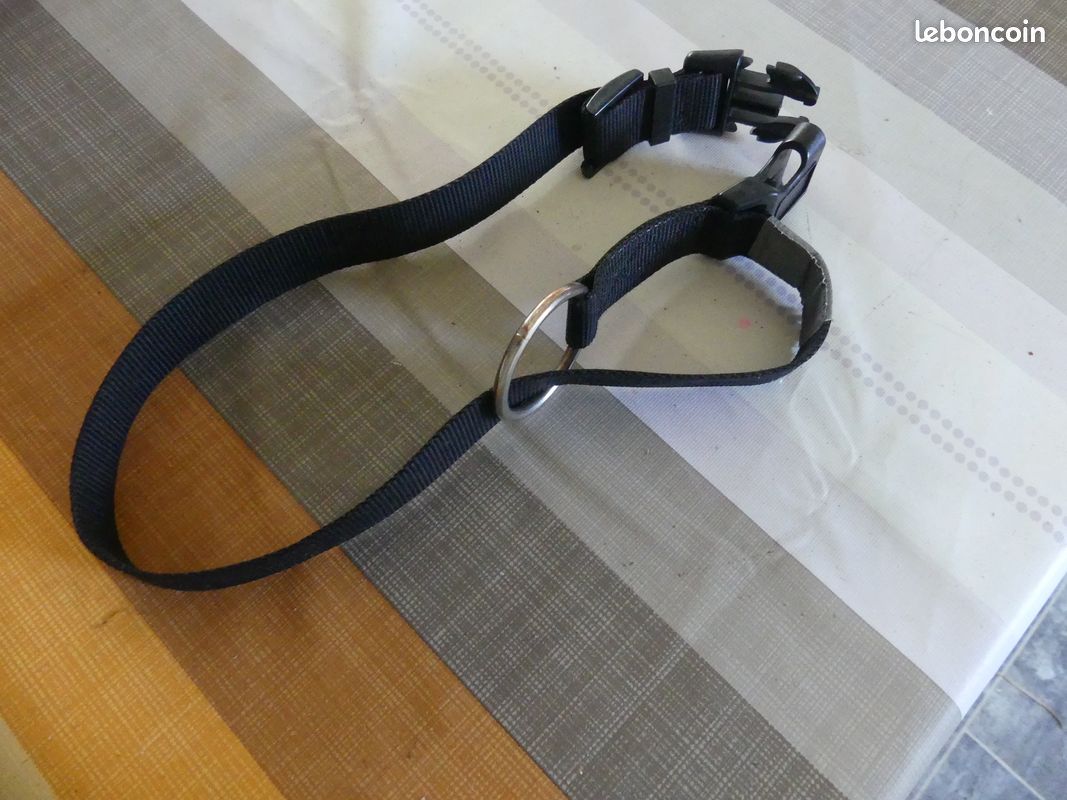 Collier (image 2)
