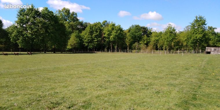 Terrain 1 534 m² Beaupouyet